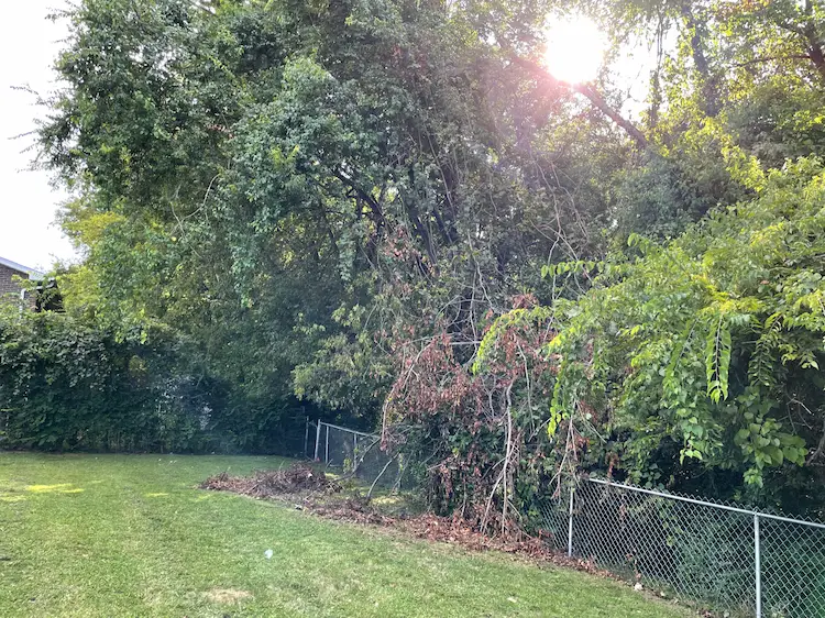 Specialized Land Clearing