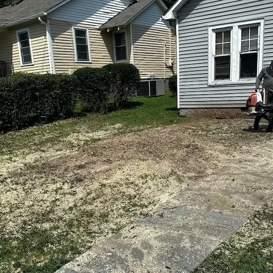Tree cutting process